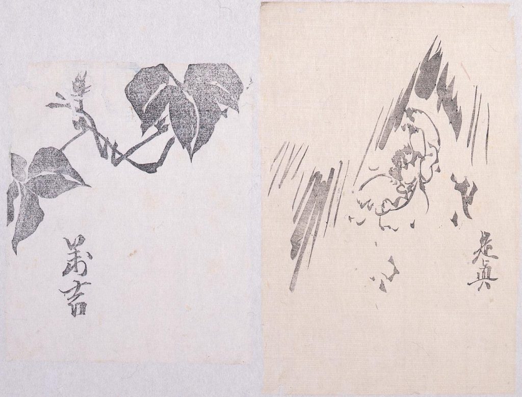 作品画像:墨版 蔦(万吉)、寒牡丹