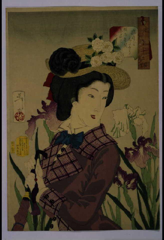 作品画像:風俗三十二相 遊歩がしたさう 明治年間妻君之風俗