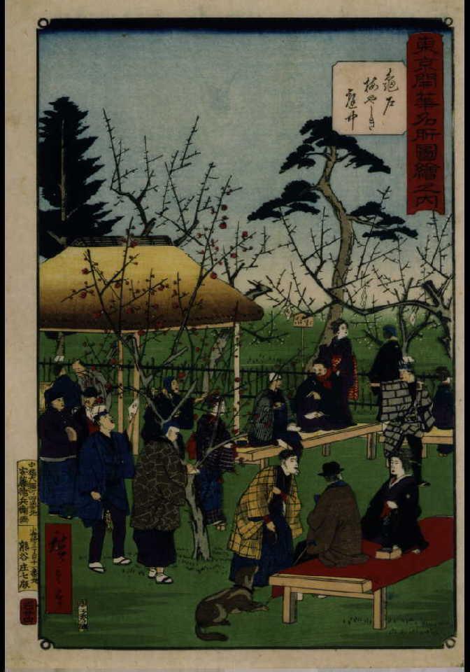 作品画像:東京開華名所図絵之内 亀戸梅やしき庭中