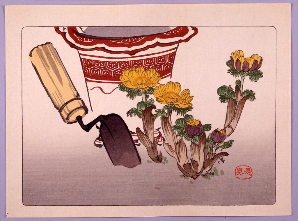 作品画像:福寿草図