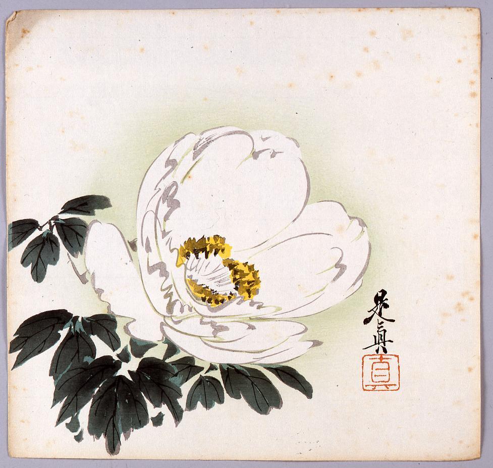 榛原聚玉堂版団扇絵 芍薬