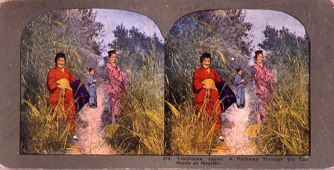 作品画像:Yokohama,Japan.A Pathway Through the Tall ReedsAt Nogishi.678