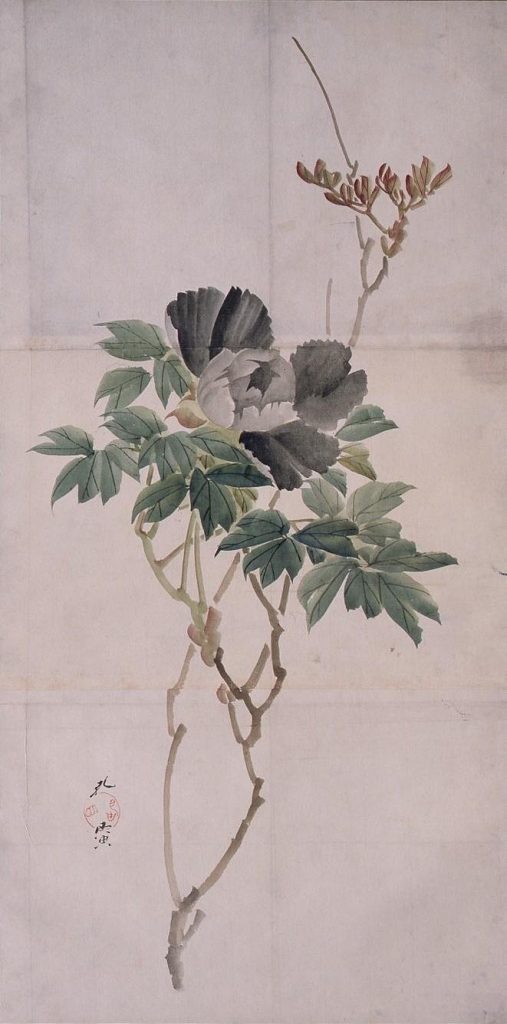 作品画像:粉本 孔寅写 牡丹
