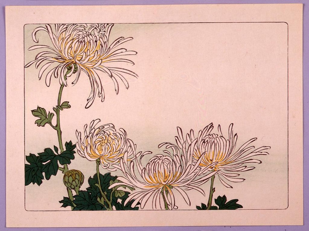 作品画像:菊図