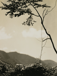 作品画像:中禅寺湖