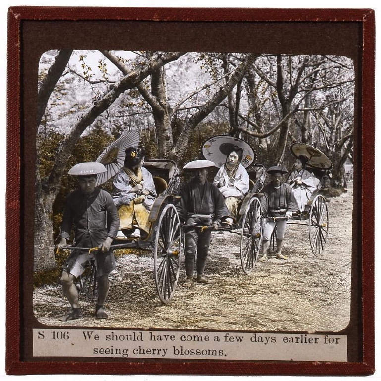 作品画像:人力車上の花見