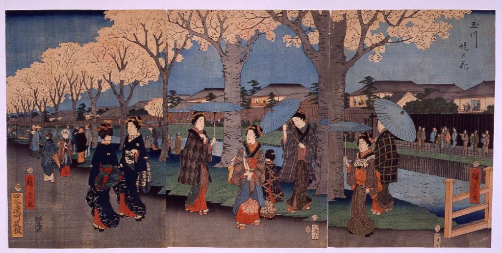 作品画像:玉川堤の花