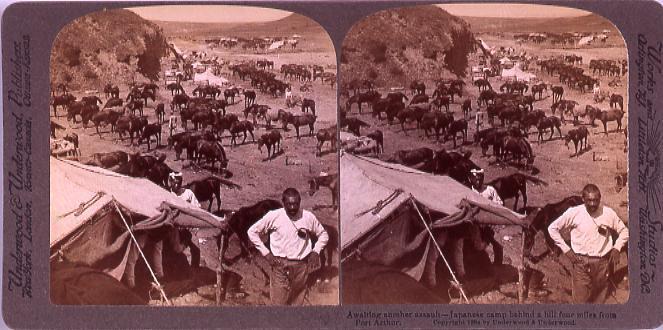 作品画像:AwaitingAnotherAssault―Japanese camp behindA hill four miles from PortArthur.