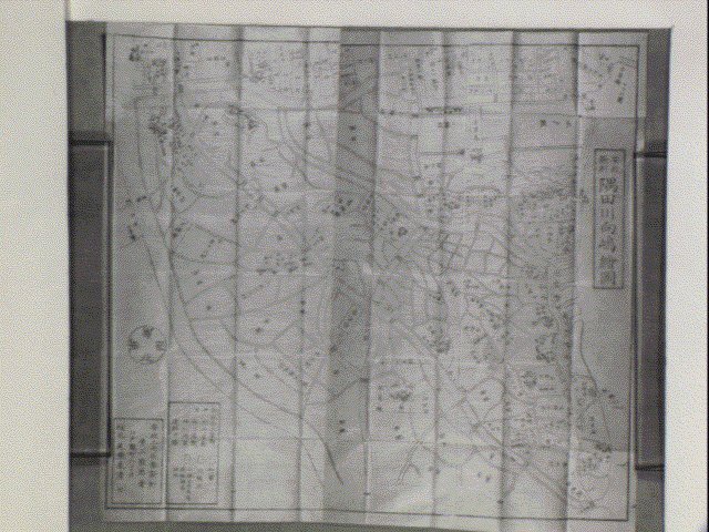作品画像:安政新刻隅田川向嶋絵図