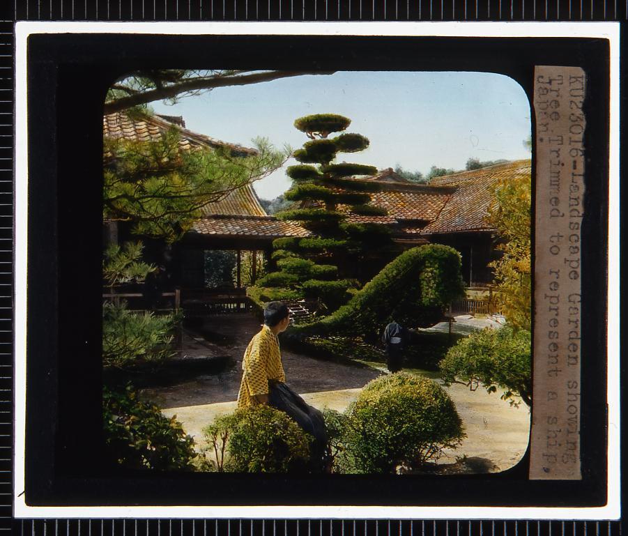 作品画像:京都 金閣寺陸船松(幻燈原板)