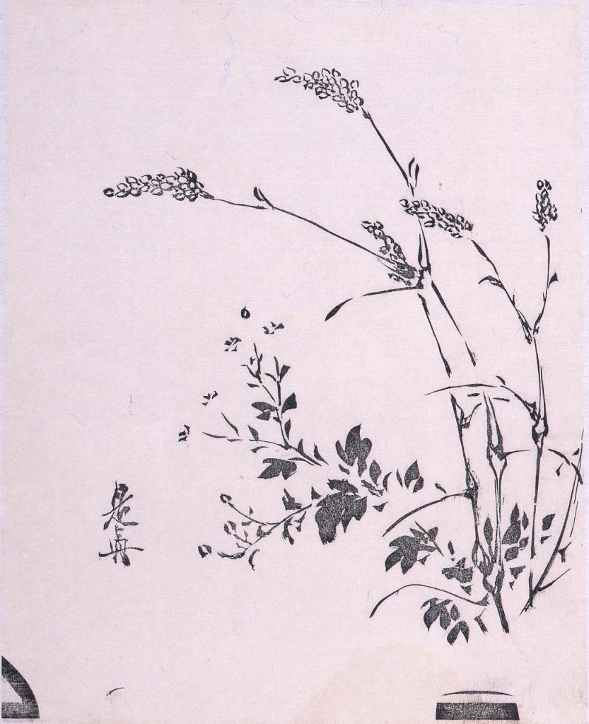 作品画像:墨版 秋草