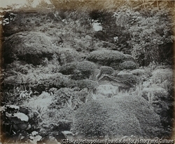 作品画像:江戸にある天皇の庭園