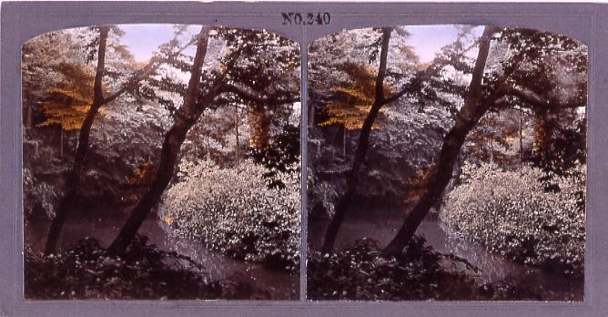 作品画像:王子権現の滝の川(No.240)
