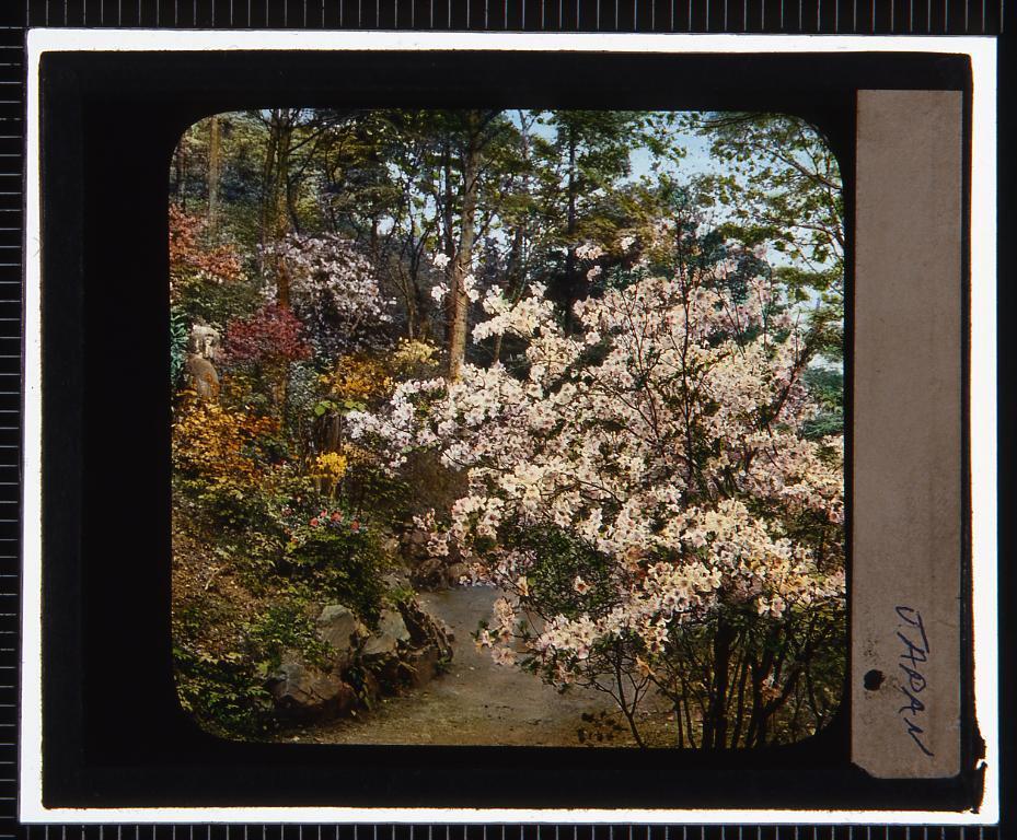 作品画像:花の咲く小道(幻燈原板)