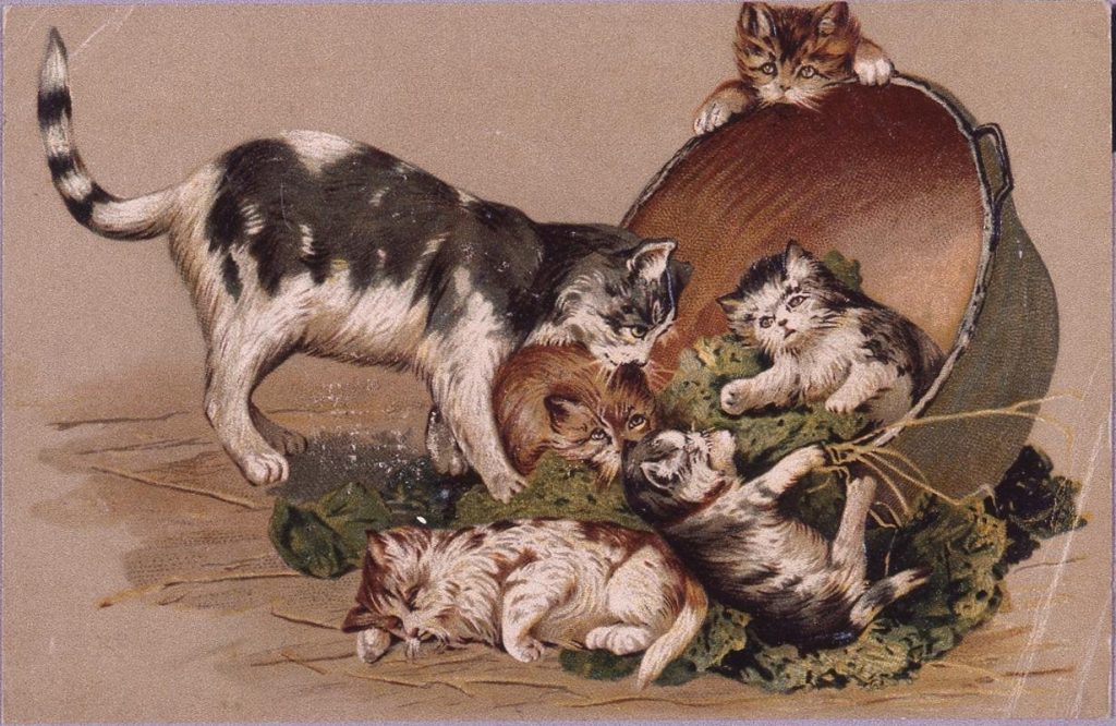 作品画像:外国製絵葉書 猫と鍋