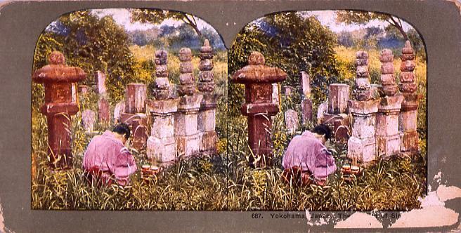作品画像:Yokohama,Japan.The Garden of Sleep.687