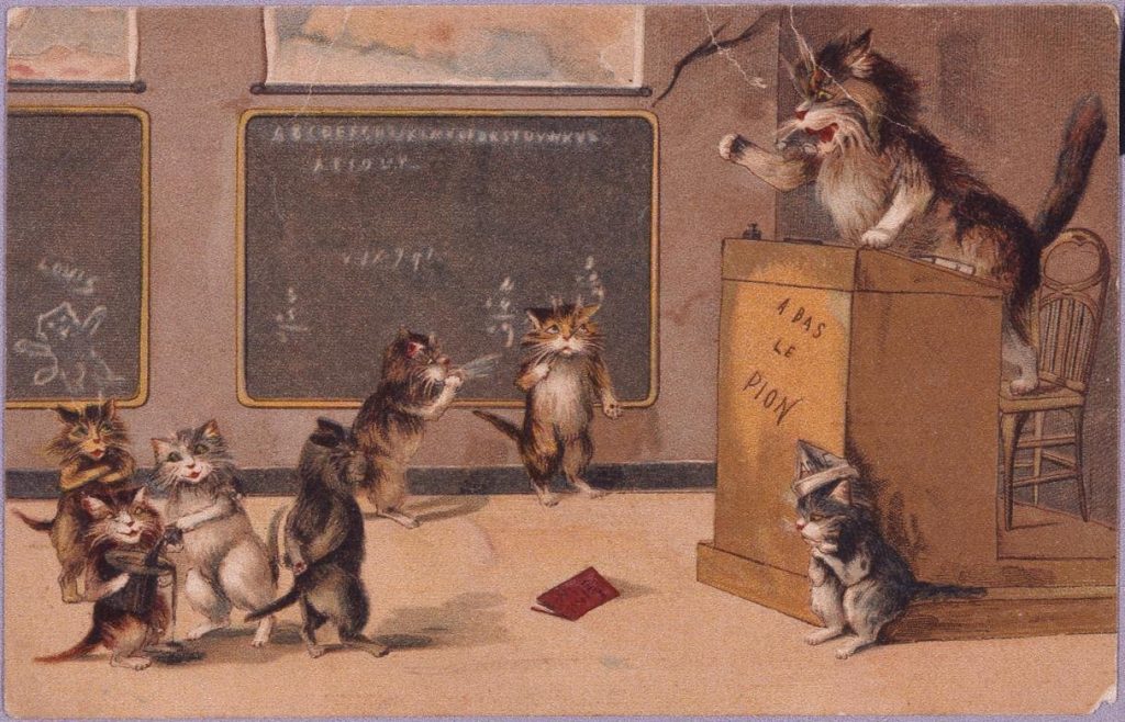 作品画像:外国製絵葉書 猫の授業