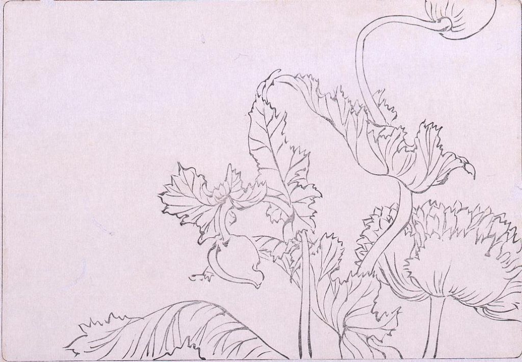 作品画像:墨版 芥子