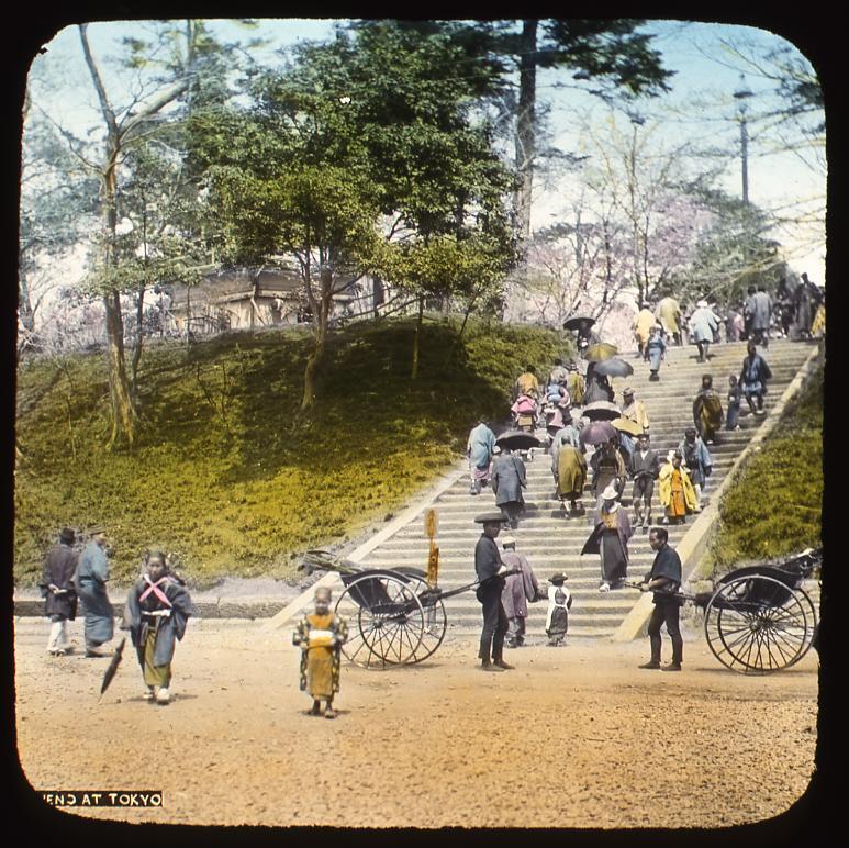 作品画像:上野
