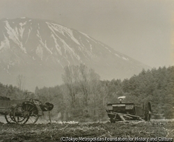 作品画像:農場風景