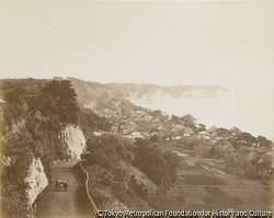 作品画像:新道