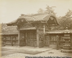 作品画像:芝