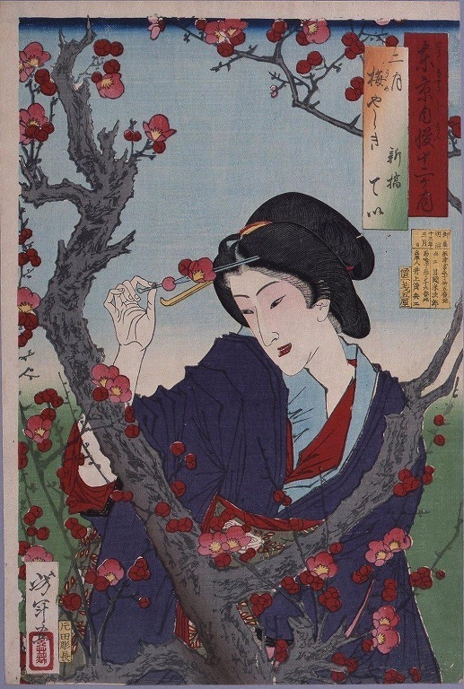 作品画像:東京自慢十二ヶ月 二月 梅やしき