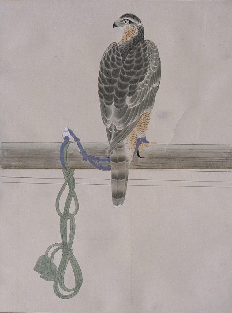 作品画像:粉本 鷹架