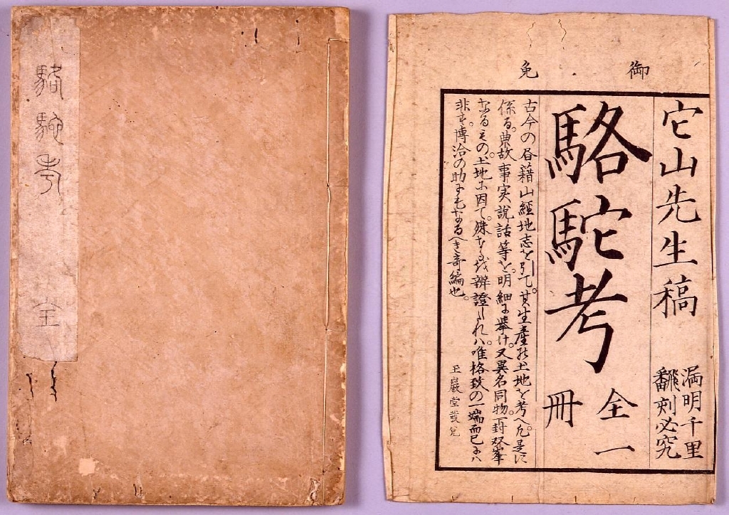 作品画像:駱駝考