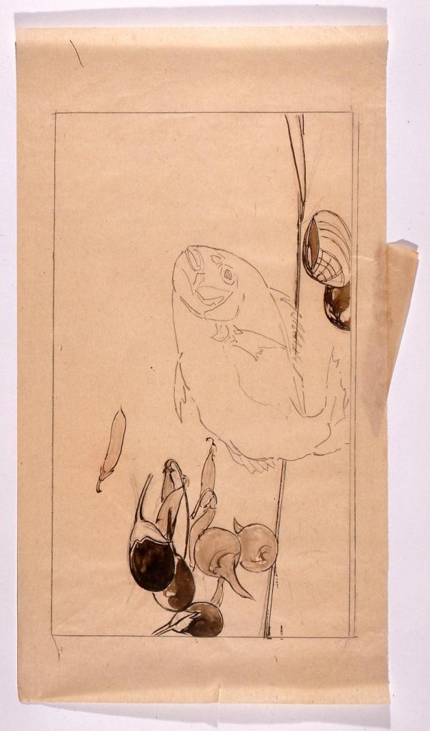 作品画像:下絵 静物(鯛・蛤・茄子)
