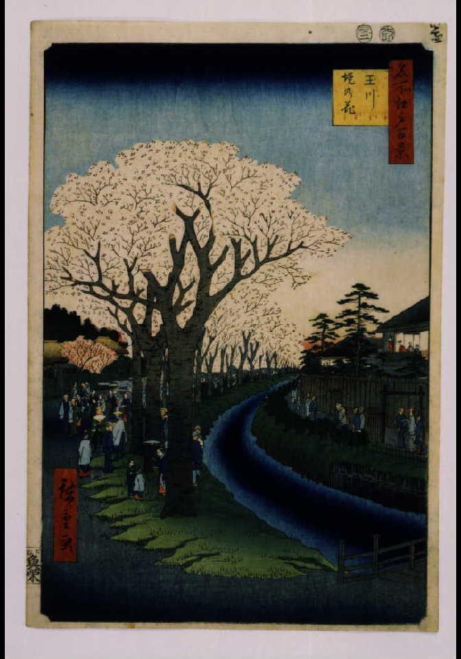 作品画像:名所江戸百景 玉川堤の花