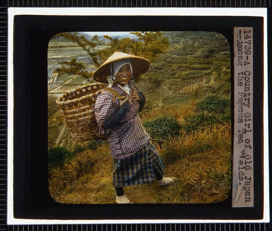 作品画像:茶畑の女性(幻燈原板)