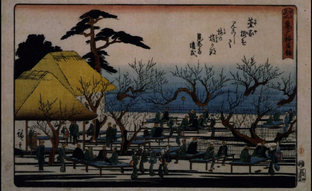 江戸名所 亀戸梅屋舗
