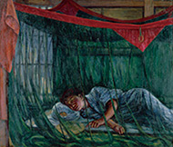 作品画像:蚊帳