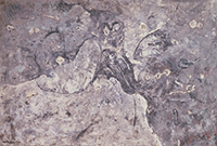 作品画像:無題