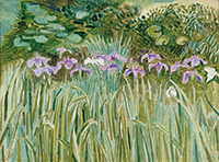 作品画像:あやめ