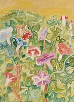 作品画像:朝顔
