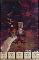 作品画像:golden bat