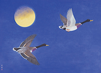 作品画像:月に飛ぶ