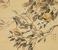 作品画像:香橙