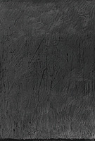 作品画像:1979年9月25日、パストゥール通りにて