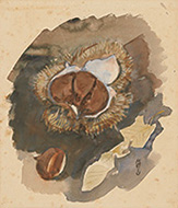 作品画像:栗の実