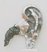 作品画像:EAR