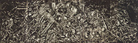 作品画像:SEM (TA)