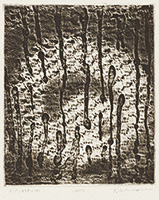 作品画像:AMT