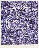 作品画像:SYA (b)