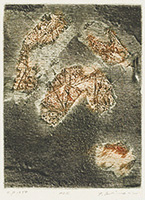 作品画像:XOE