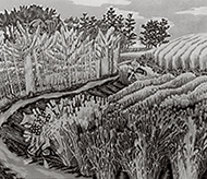 作品画像:海辺麦秋