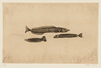 作品画像:三匹の小魚