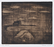 作品画像:海辺の貝